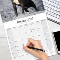 American Staffordshire Terrier Kalender 2026 - thumbnail