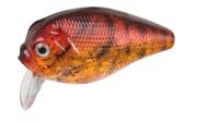 Doiyo Ishi 50 FL Red Perch CF - thumbnail