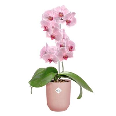 Elho Vibes fold orchid 12.5 frosted pink - thumbnail