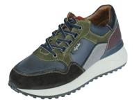 Australian Oxford - thumbnail