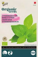 Organic Basilicum Citroensmaak (Bio) zaden Buzzy - Buzzy - thumbnail
