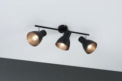 Paulmann 66761 Plafondspot E27 10 W Zwart