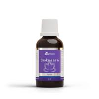 Sanopharm Chakrasan 6 - thumbnail