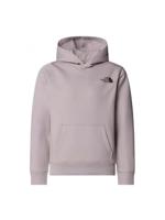 The North Face Redbox Regular Hoodie Trui Kinderen Moonstone Grey XL - thumbnail