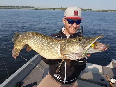 Rozemeijer Dr. Flash 56Gr Size 7 Spinner Speckled Fire Tiger