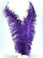 Spadonis paars - thumbnail