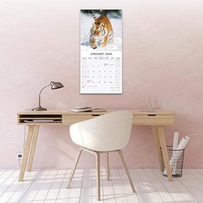 Tijger Kalender 2026