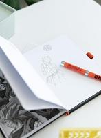 Dragon Ball Premium Notebook A5 with Projector Pen Super Goku - thumbnail