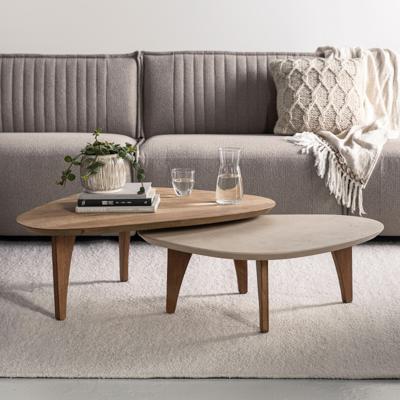 DTP Home Organische Salontafel 'Bliss' Set van 2 stuks, Mortex en Teakhout, 100 x 70cm