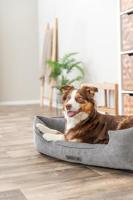 Trixie vital hondenmand lennox hoekig grijs - thumbnail