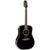 Takamine FT341 Limited Edition elektrisch-akoestische westerngitaar met softcase
