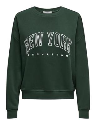 Only Onlsweat Life L/s Crew O.size State Noos Sweater Pine Grove New York