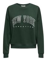 Only Onlsweat Life L/s Crew O.size State Noos Sweater Pine Grove New York - thumbnail
