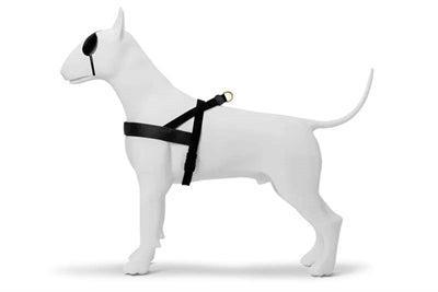 MORSO NORWEGIAN HONDENTUIG GERECYCLED GOLD CAVIAR GOUD 46-60X42 CM MORSO NORWEGIAN HONDENTUIG GERECYCLED GOLD CAVIAR GOUD 46-60X42 CM