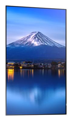 Videowall Monitor Sharp 60005911 4K Ultra HD 42,5"