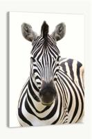 Schilderij - Vooraanzicht Zebra, Grijs wit , 3 maten , Premium print - thumbnail