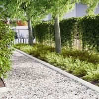 VidaXL Tuinrand 10 pcs wit 100 x 0.05 x 20 cm koudgewalst staal - thumbnail