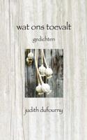 Wat ons toevalt - Judith Dufourny - Paperback (9789402114591) - thumbnail