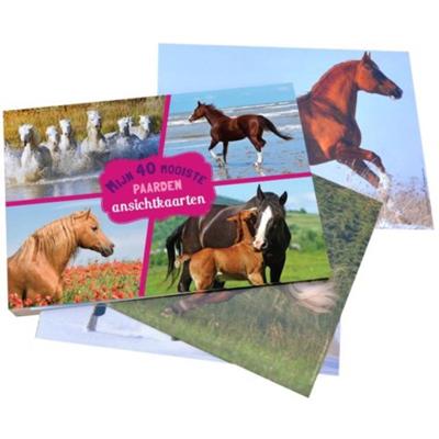Paarden ansichtkaartboek