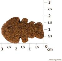 Carnilove crunchy snack zalm / blauwe bes - thumbnail