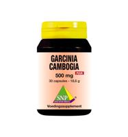 SNP Garcinia cambogia 500mg puur 30 Vegetarische capsules - thumbnail
