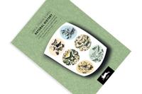 Natural History (Paperback) - thumbnail