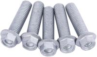 TRW bouten-set screw set 5pcs. m8x1,25 - thumbnail