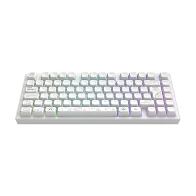Dark Project ALU81A TERRA NOVA Draadloos mechanisch gamingtoetsenbord | ISO Multi | Hot-Swap | G3MS Maansteen ingevette schakelaars | Ingevette stabilisatoren | Flexibele pakkingbevestiging |