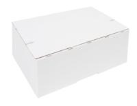 Postpakketbox iezzy 4 305x215x110mm wit | 5 stuks - thumbnail