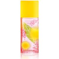 Damesparfum Elizabeth Arden MS321 EDT 100 ml - thumbnail