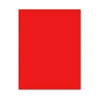 Fiches Iris Rood 50 x 65 cm - thumbnail