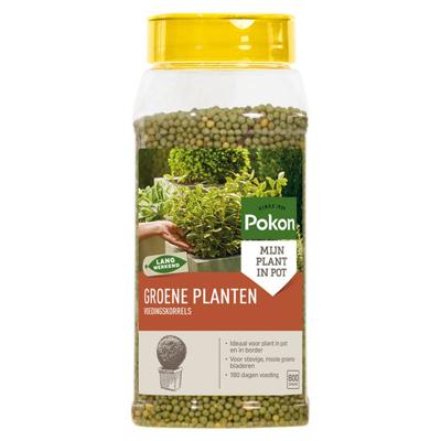Pokon Groene Planten Voedingskorrels 800gr