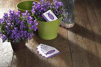 AVERY visitekaarten Quick&Clean 220 g/m² - thumbnail