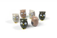 Trendform Magnetische Uil - set van 6 verschillende - thumbnail