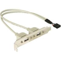 Delock Slotbracket 1x internal USB 5pin > 2x USB2.0 external PC-slot 1 stuk(s) - thumbnail