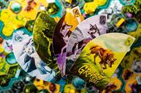 The Wolves - thumbnail