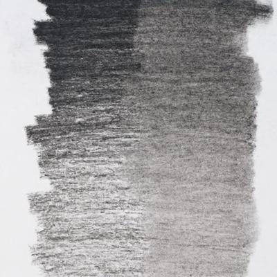 Bruynzeel design specialties houtskool hard