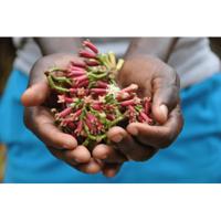 Kruidnagel gemalen bio - thumbnail