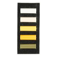 Rembrandt Soft pastel set Warme Gelen - 5 halve pastels - thumbnail
