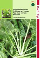 Zaden Snijbiet Groene Gewone Hortitops - Hortitops - thumbnail