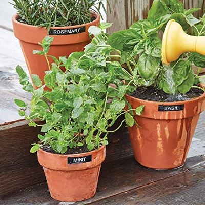 Dymo LabelManager 160 Value Pack: 3 x D1 tape, zwart op wit, 12 mm + 1 x LabelManager 160P, qwerty