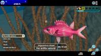 Nintendo Switch Endless Ocean: Luminous - thumbnail
