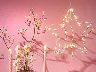 Ster Hangend 60 LEDs Warm Wit 32x30 cm Goud