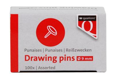 Punaises quantore assorti 100 stuks Punaises quantore assorti 100 stuks