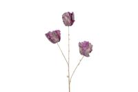 Countryfield tulp 85 cm paars - thumbnail