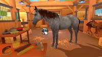 Equestrian Training - thumbnail