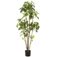 Kunstplant Boom Polyscias - 160cm - thumbnail