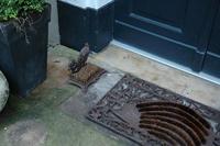 Voetenveger Eekhoorn / Esschert Design - thumbnail