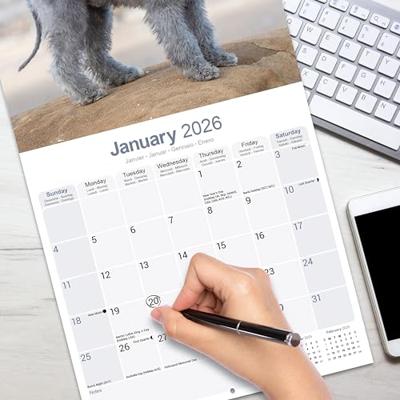Bedlington Terrier Kalender 2026