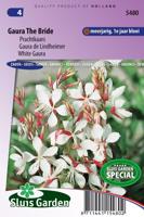Gaura Lindheimeri zaden The Bride prachtkaars - thumbnail